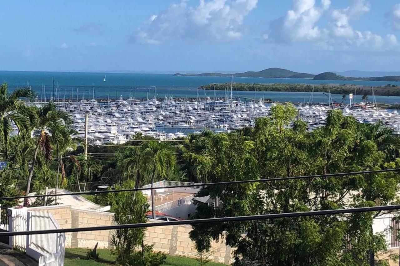Peaceful Puerto Rico Paradise With Views And Balcony 法哈多 外观 照片